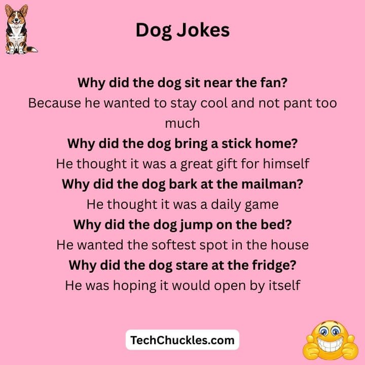 Dog Jokes Funny