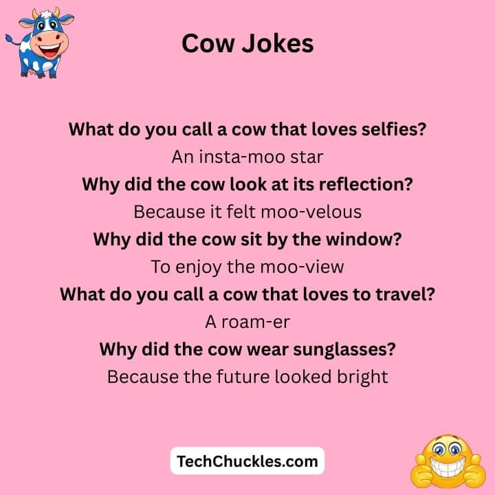 Cow Funnies